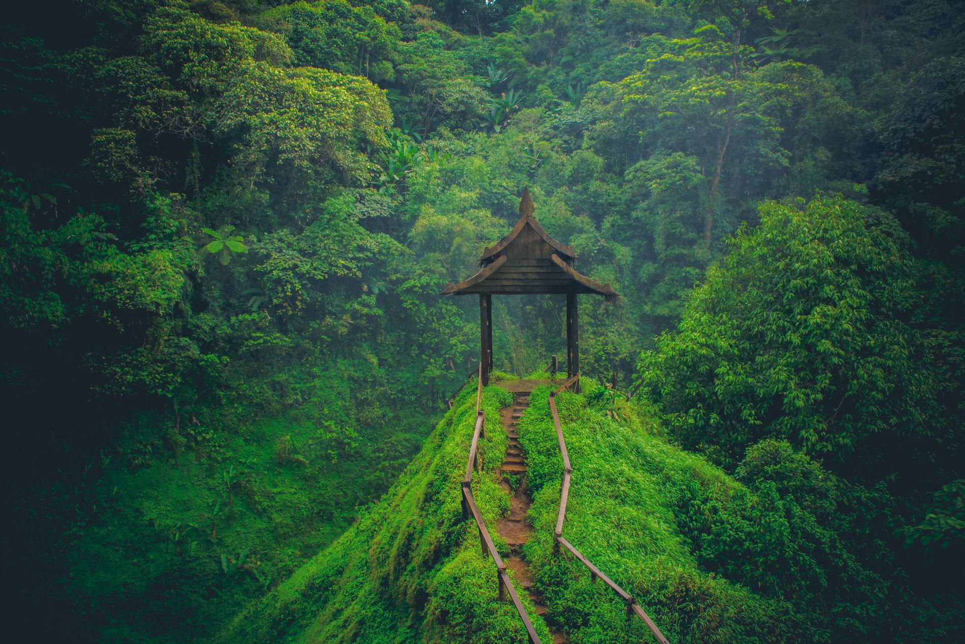 Secrets of Southern Laos